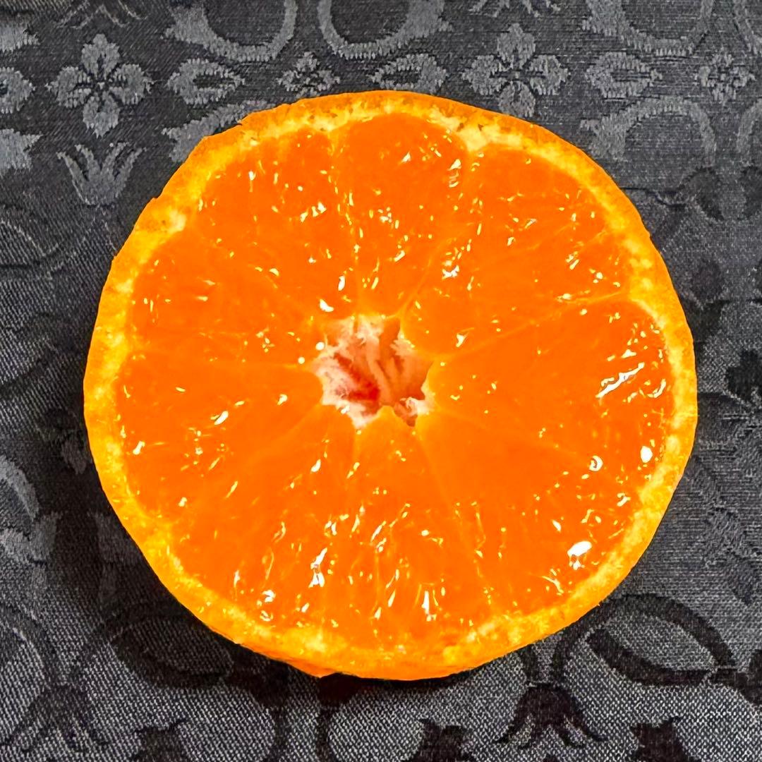 741)数量限定　甘すぎる　有田みかん　果物 　みかん　小玉　旬