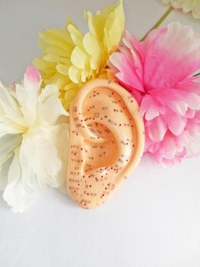 ２資格／耳つぼダイエットインストラクター&耳つぼ認定講師【協会資格】 認定証２枚