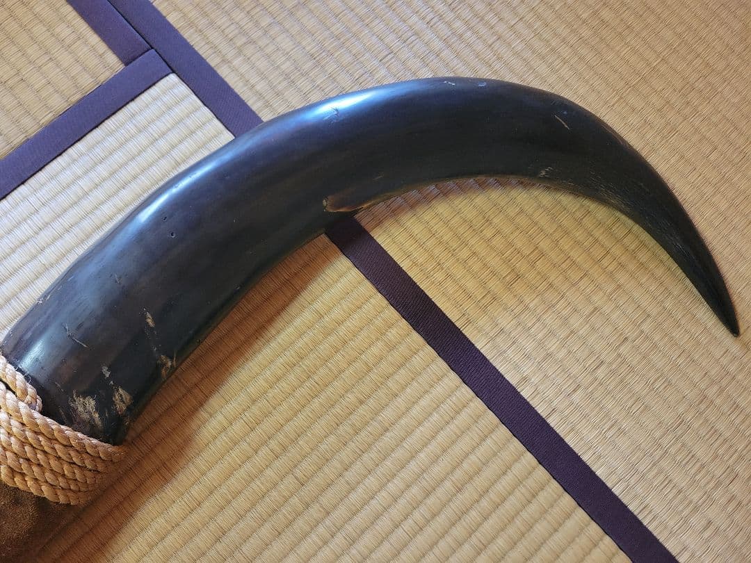 し*☆様 水牛の角　インテリア　186cm送料込み‼️