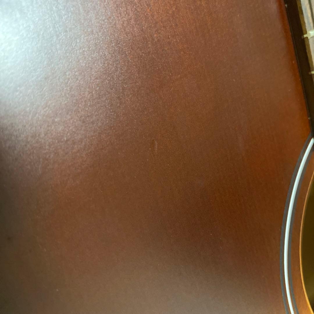 【美品】アコースティックギター　シーガル