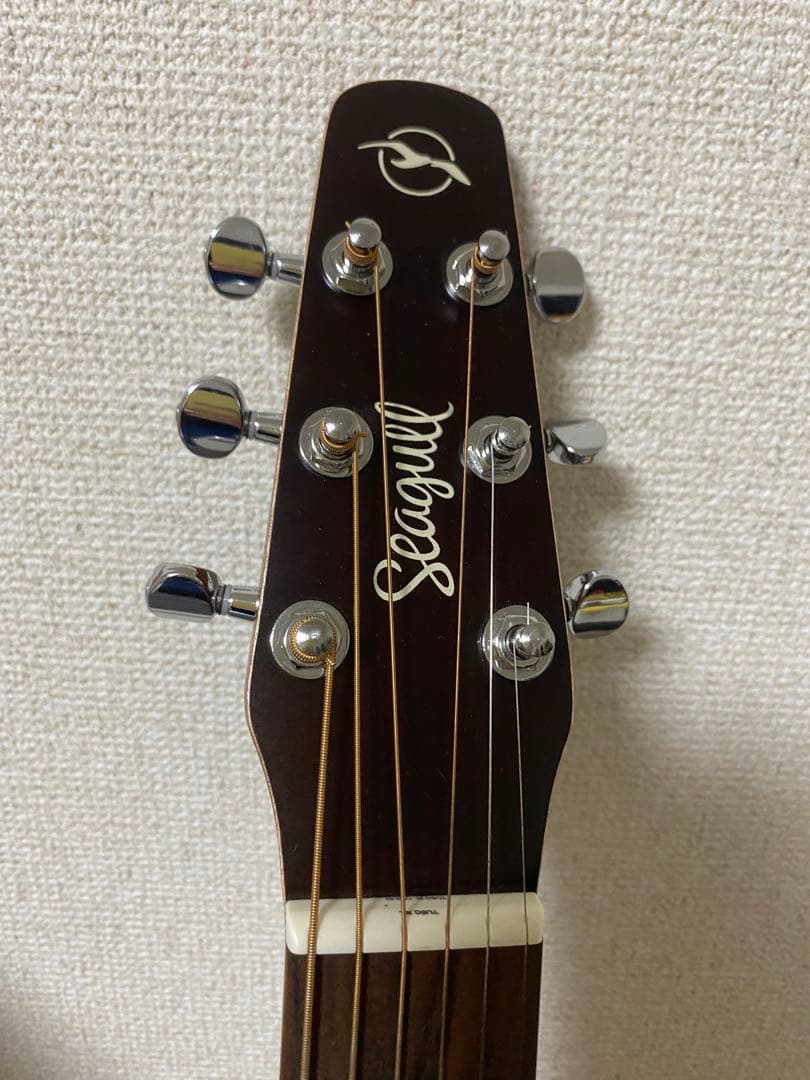 【美品】アコースティックギター　シーガル