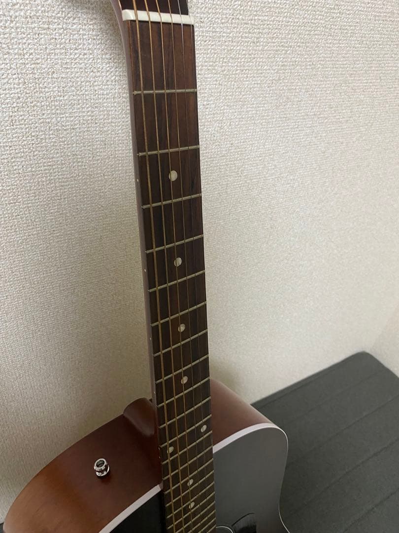 【美品】アコースティックギター　シーガル