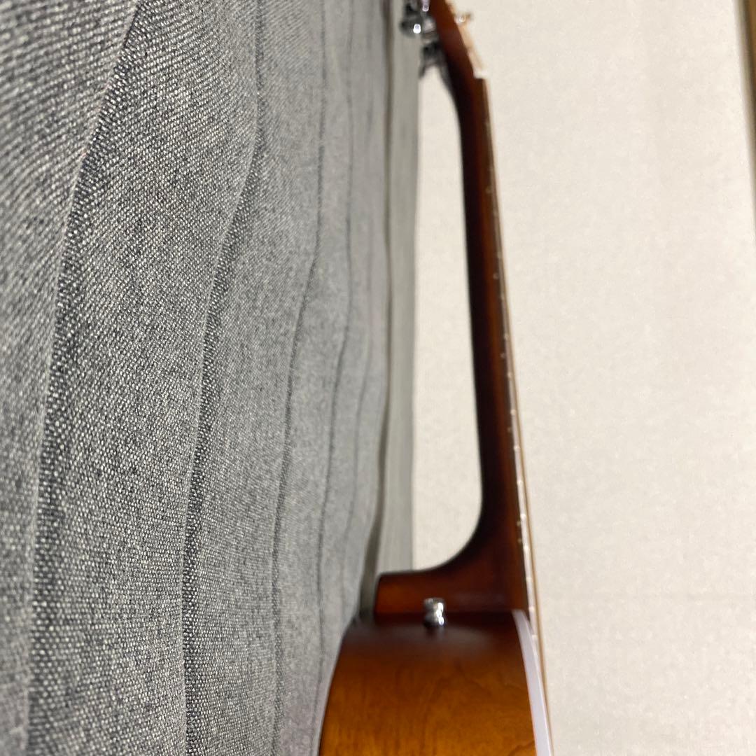 【美品】アコースティックギター　シーガル