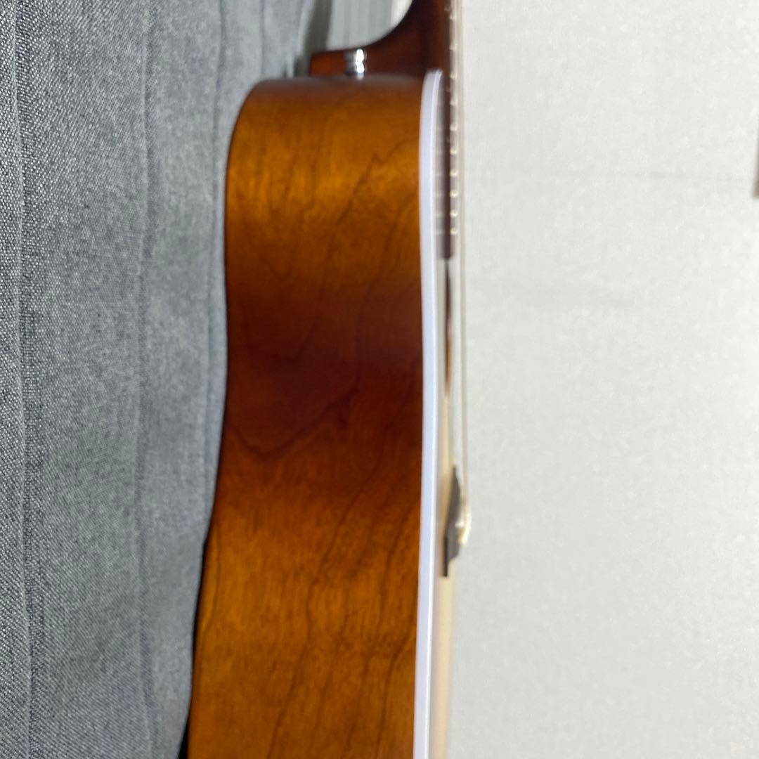 【美品】アコースティックギター　シーガル