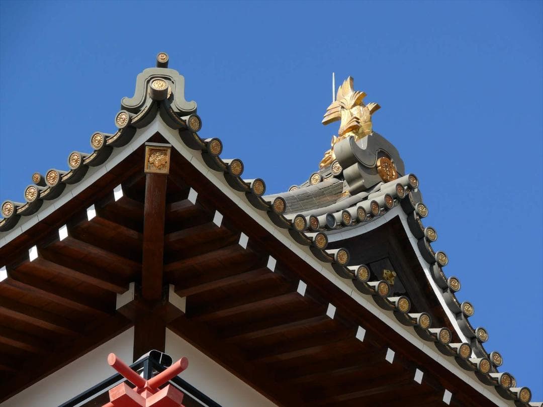 Panasonic LUMIX DMC-FZ50 デジタルカメラ