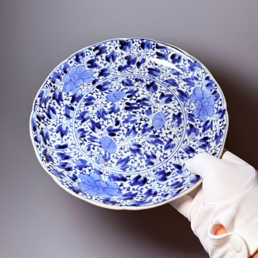 江戸後期　藍柿右衛門　「染付花草文様八寸皿」　渦福　博物館級　状態良し