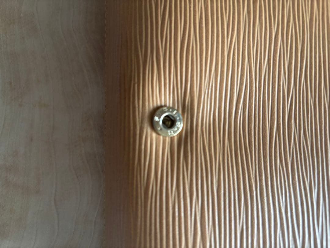 ルイヴィトン　Louis Vuitton エピライン ウィニペグ　クラッチバッグ