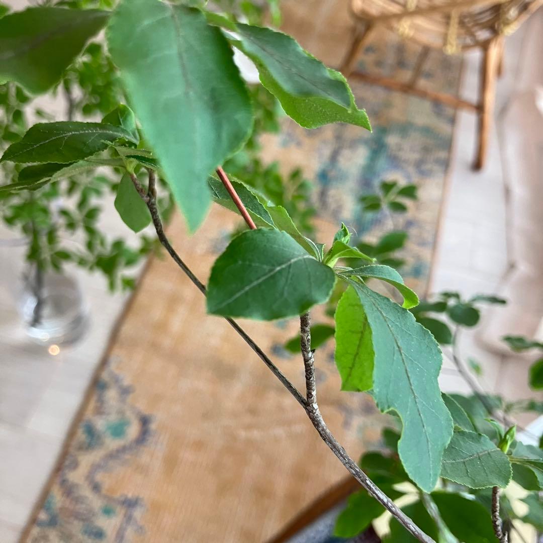 超ロング✳︎57×223 貴重カラー　イエロー　ランナー　トルコヴィンテージラグ