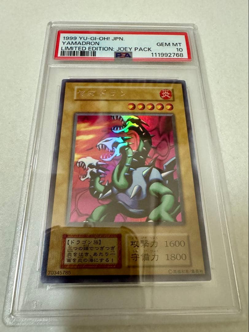 【PSA10】ヤマドラン（初期）