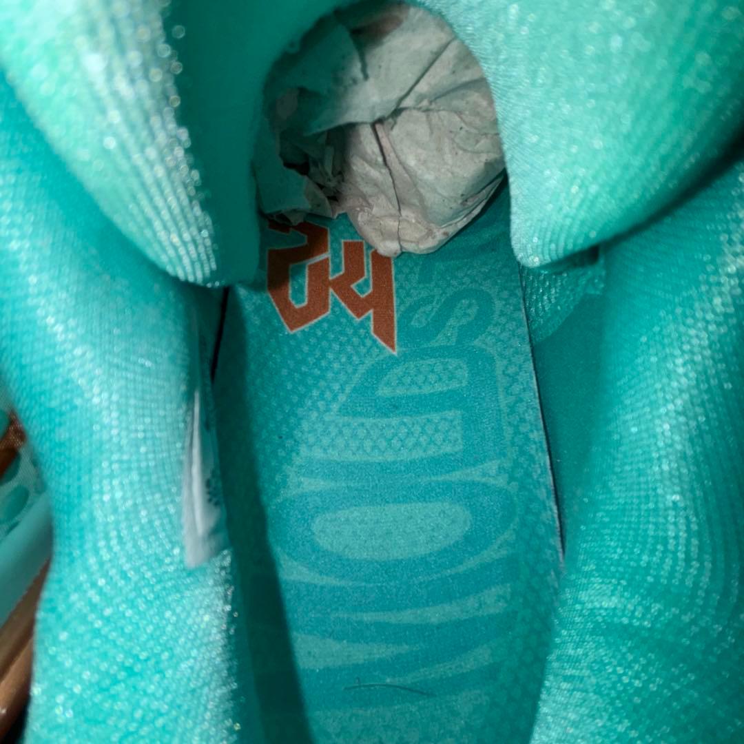 モ*チ様 Nike Kobe6 protro Statue of Liberty