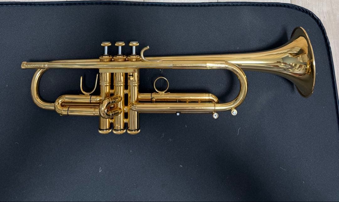 バック　スパーダ　ML37GBGP Bach SPADA