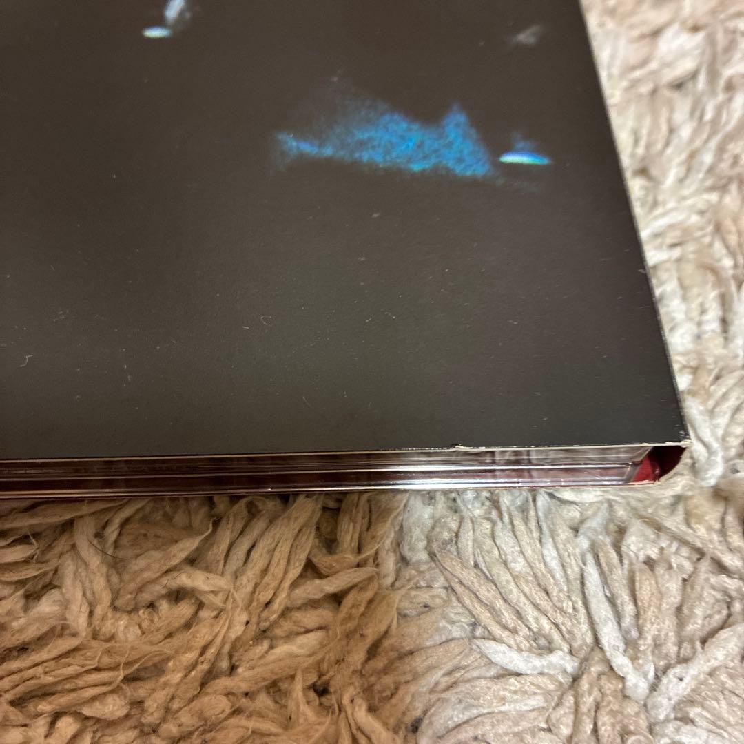 パティ・スミス patti smith dream of life DVD