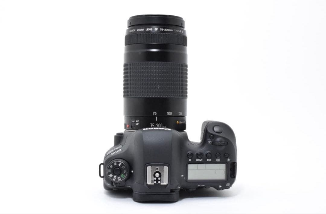 デジタルカメラ Canon EOS 6D Mark II / Canon EF75-300mm