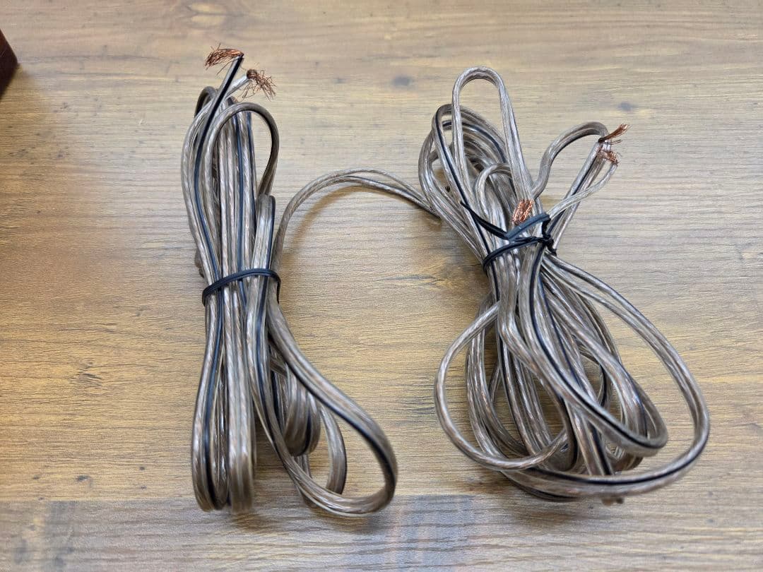 Victor ウッドコーン スピーカー SP-EXA1