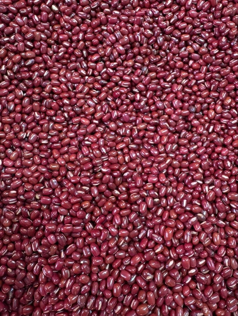 【新豆】北海道産小豆 きたろまん10kg