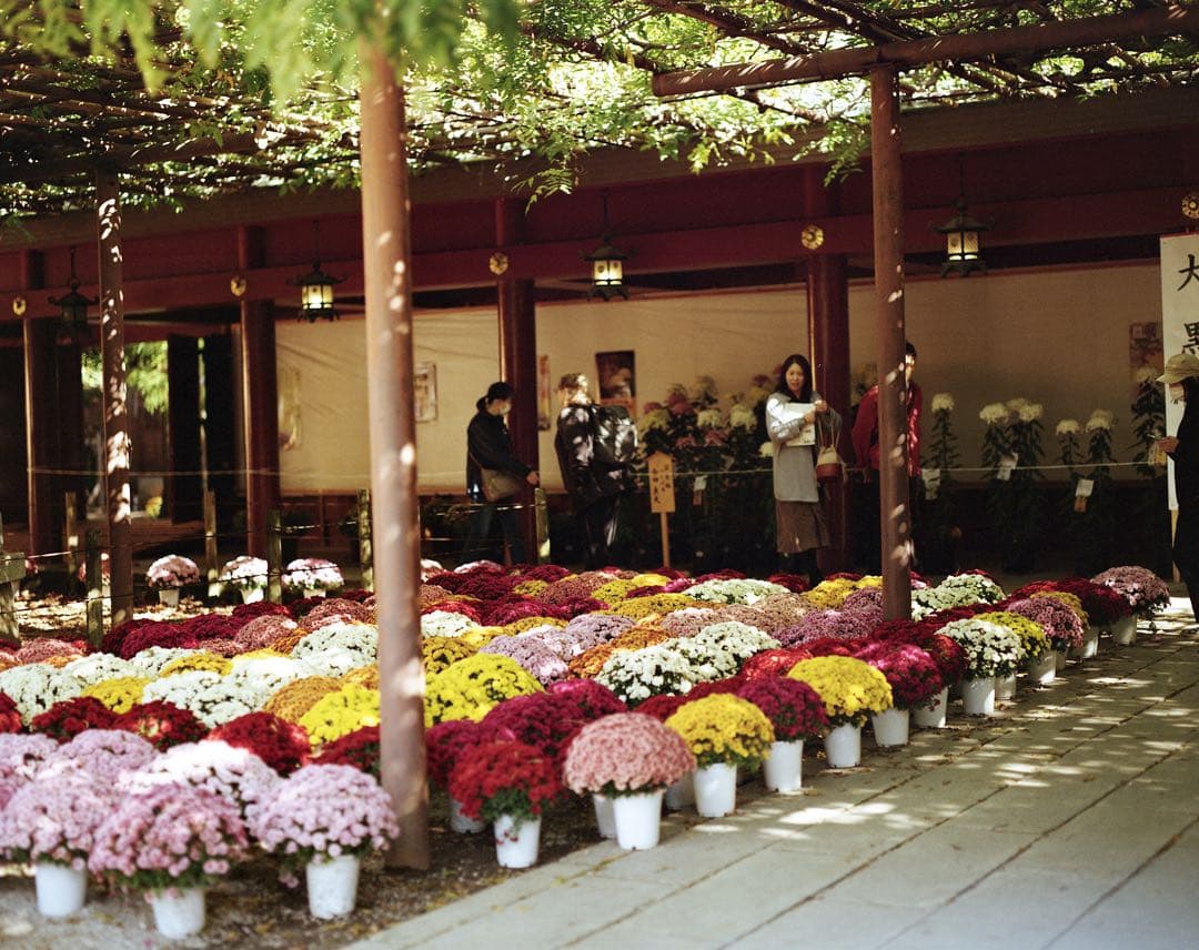 【美品】ペンタックス Pentax 6x7 中判 105mm f2.4 レンズ