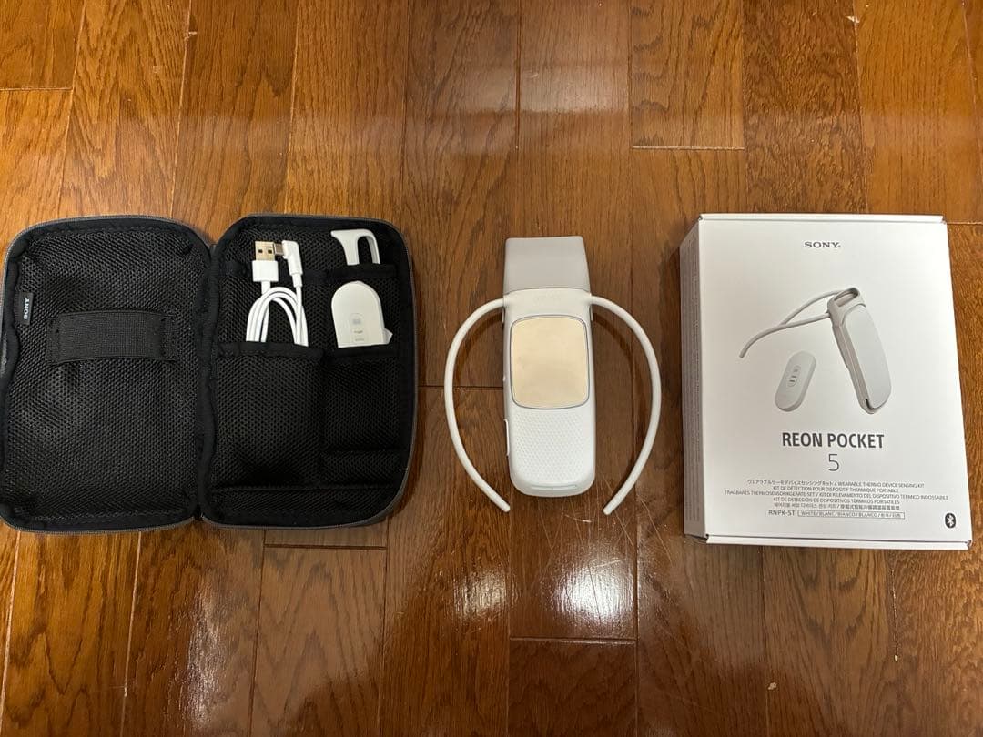SONY REON POKET 5 ケース付き