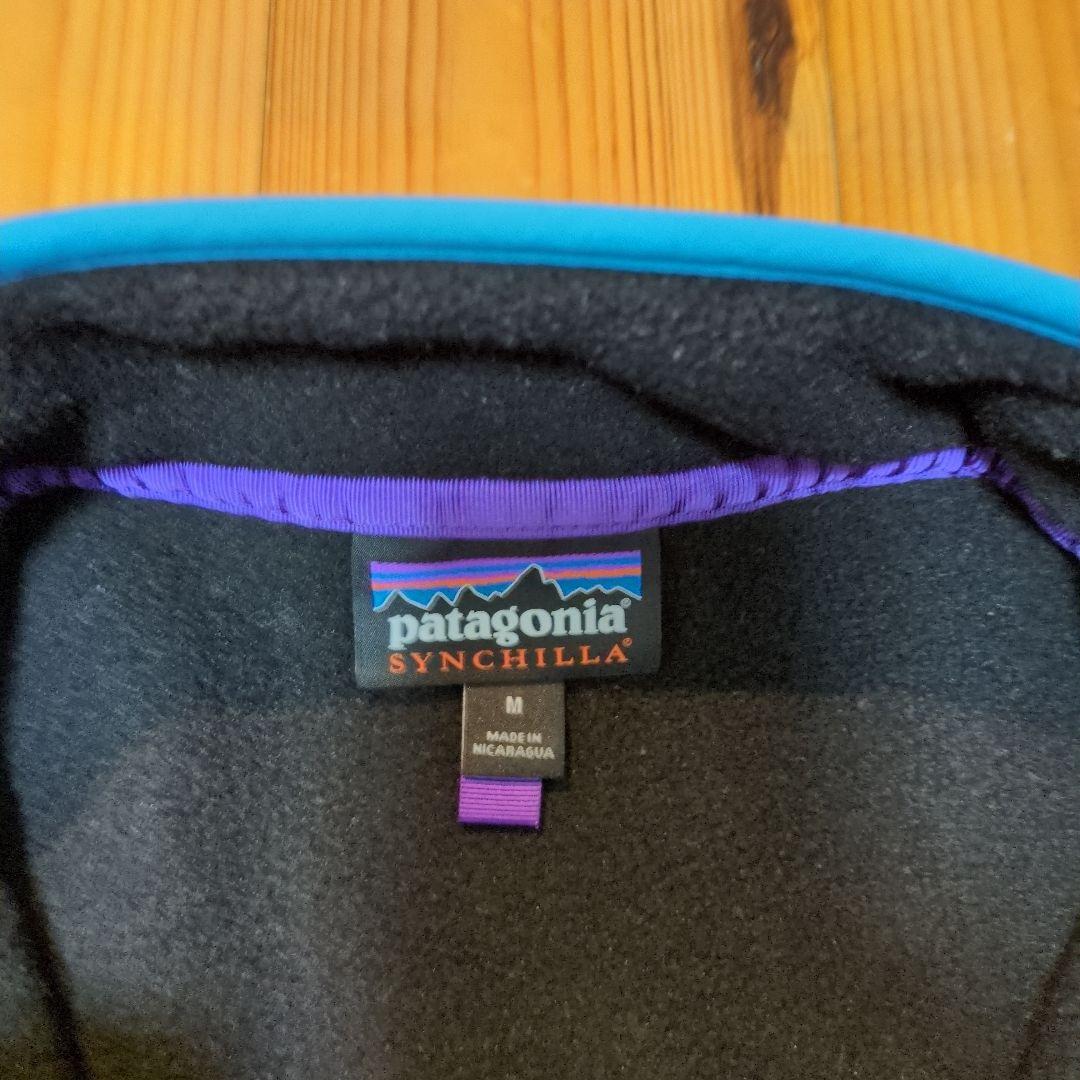 パタゴニアシンチラスナップt