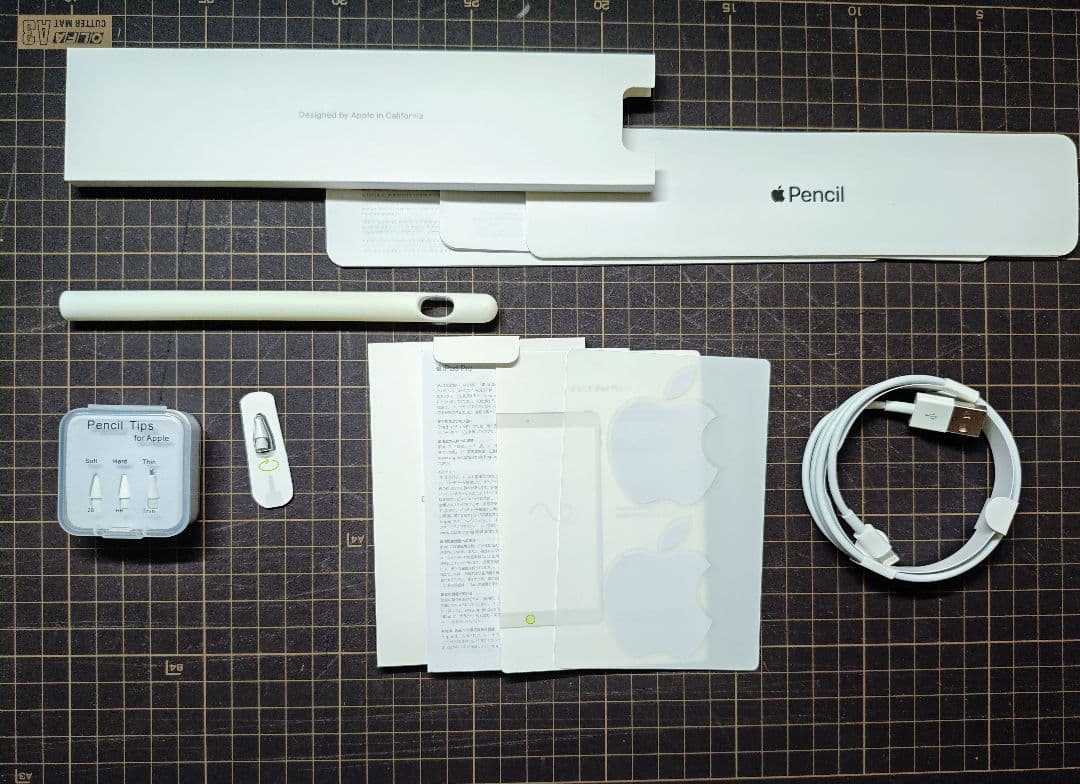 【付属品多数】iPad Pro 10.5 WIFiモデル+ApplePencil