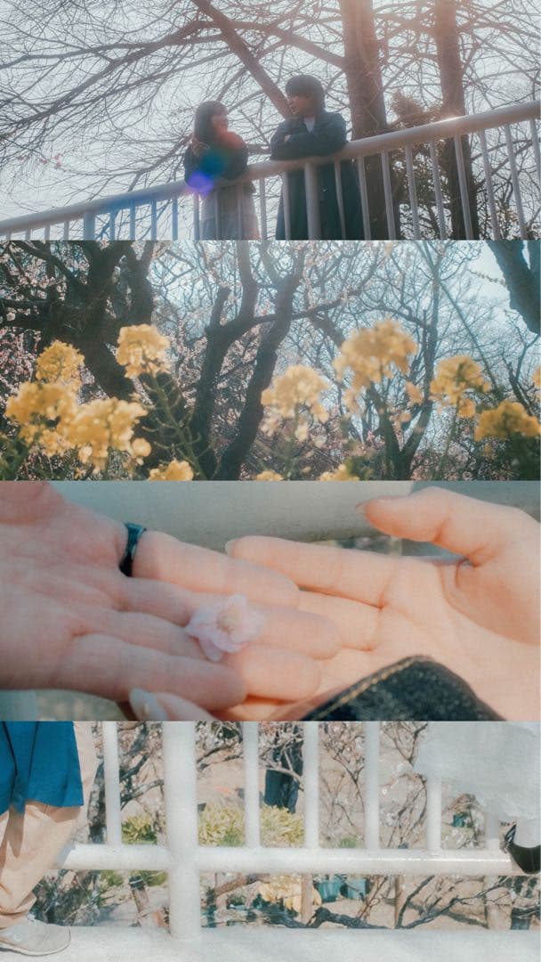 【早い者勝ち】Carl Zeiss Planar 1.4/50 ZE レンズ