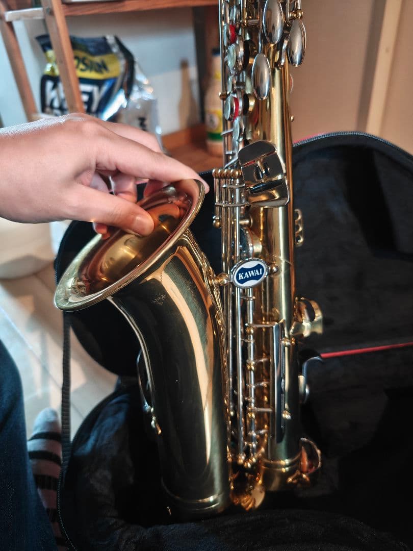 Kawai B&Sアルトサックス gatarセミハードケース付き