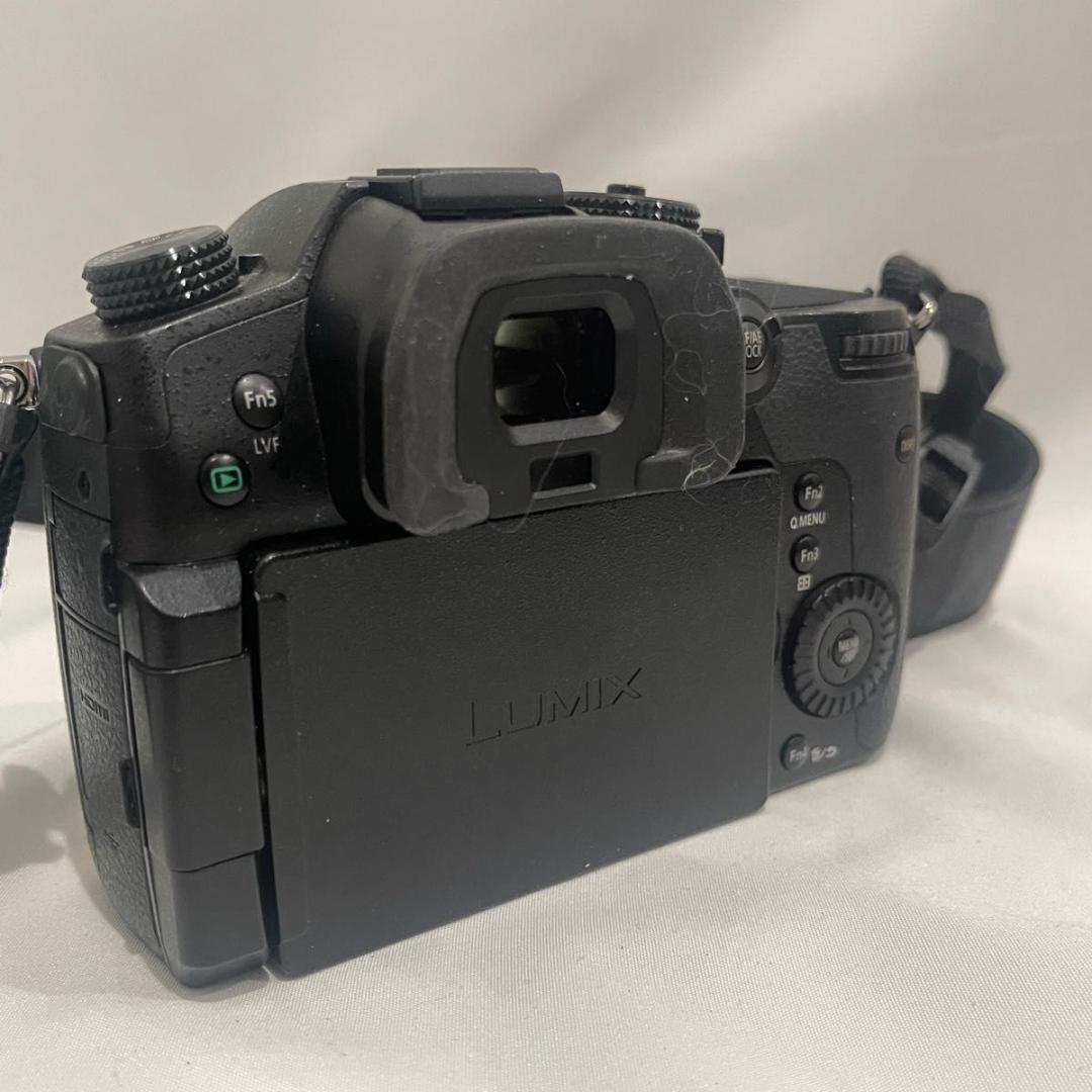 Panasonic LUMIX DC-GH5 デジタルカメラ ボディ 4K対応