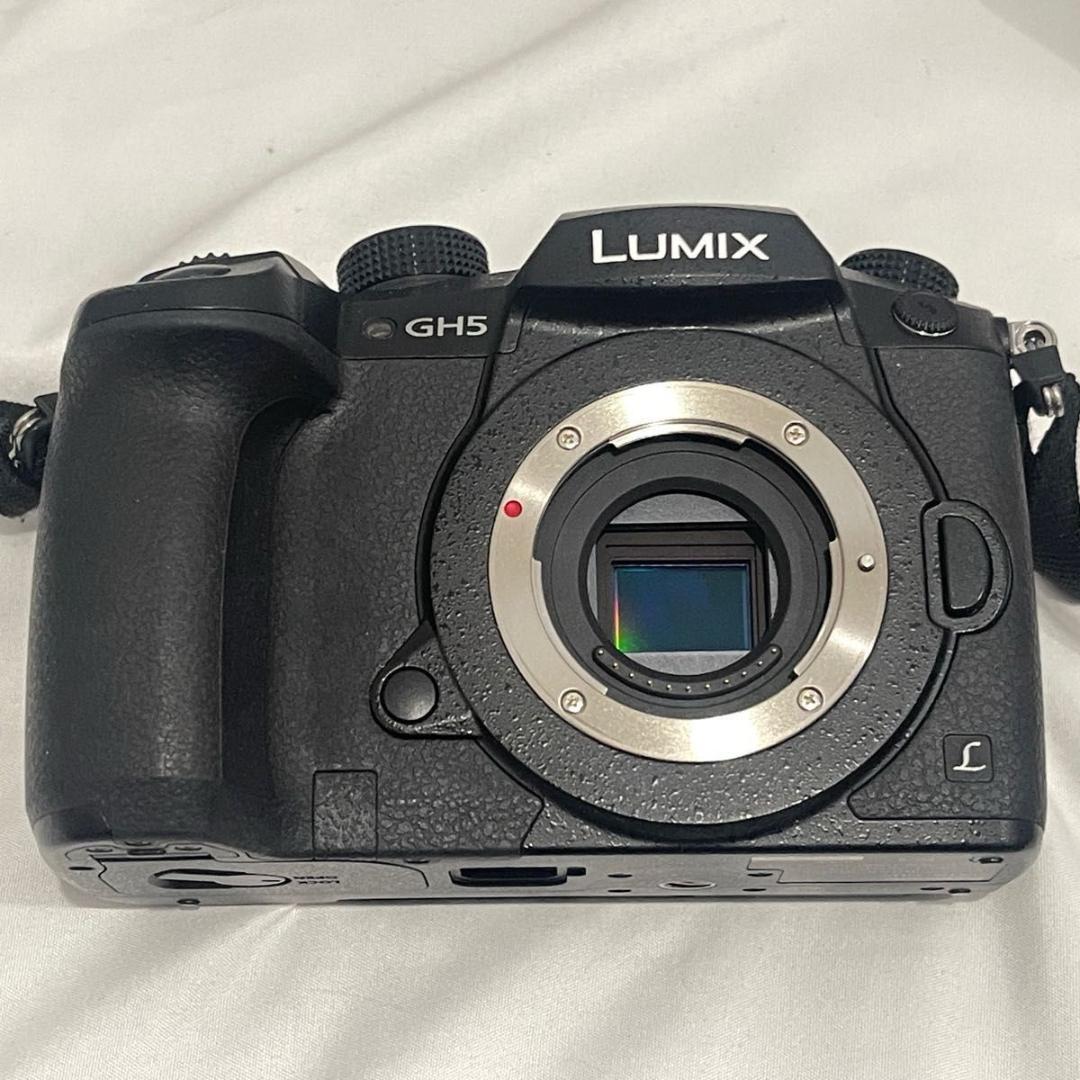 Panasonic LUMIX DC-GH5 デジタルカメラ ボディ 4K対応