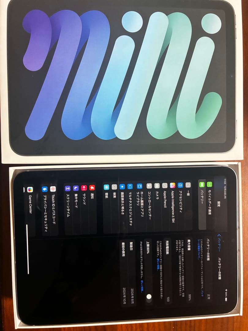 Apple iPad mini スペースグレー