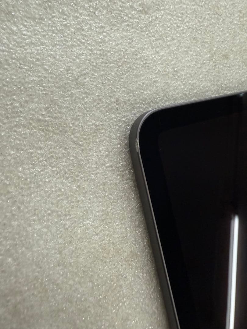 Apple iPad Pro 11インチ 第1世代 256GB Wi-Fi