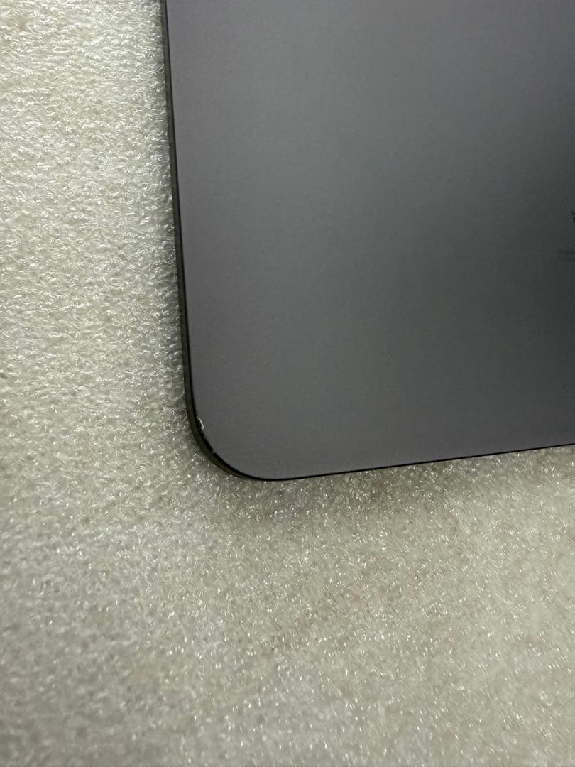 Apple iPad Pro 11インチ 第1世代 256GB Wi-Fi