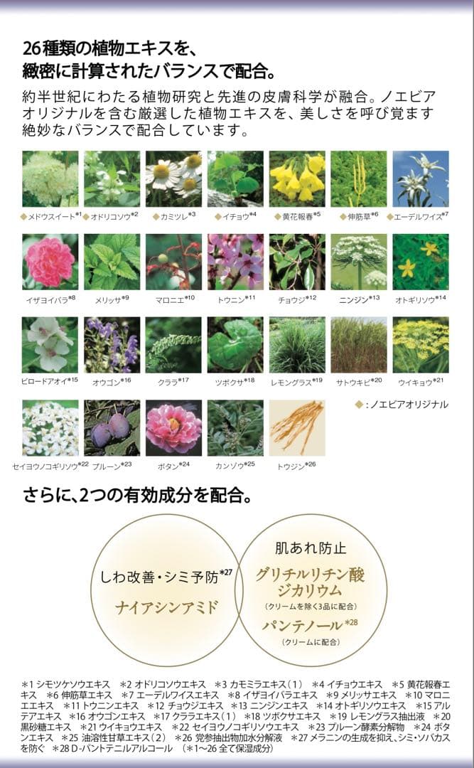 505 薬用エンリッチローション