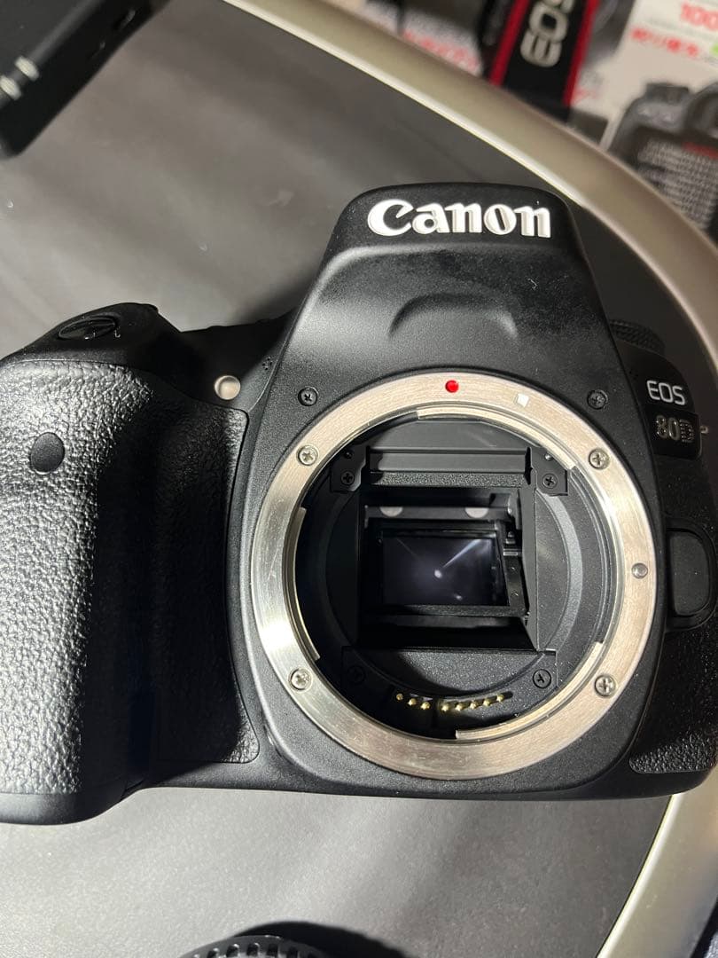 Canon EOS 80D + 2レンズセット+おまけ付き