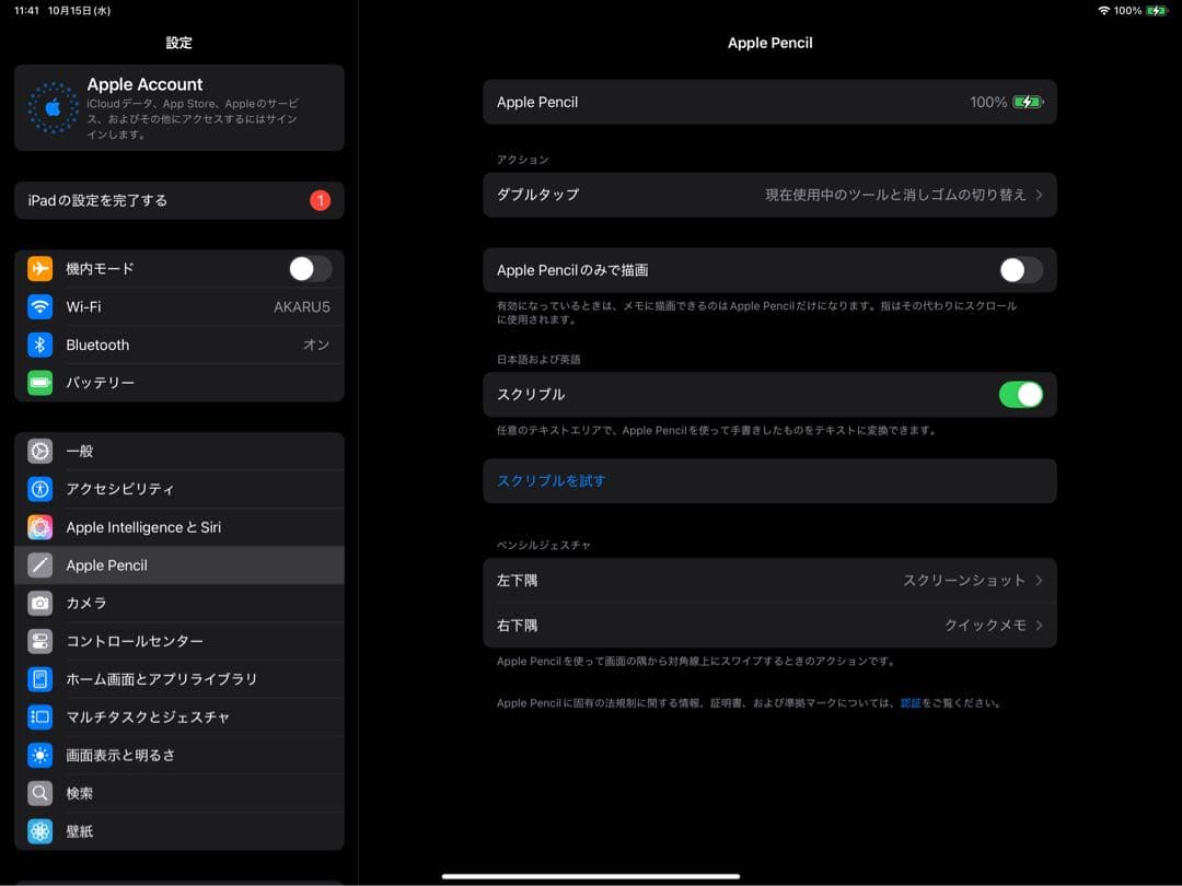iPad Pro 12.9インチ スペースグレイ 第5世代 256GB