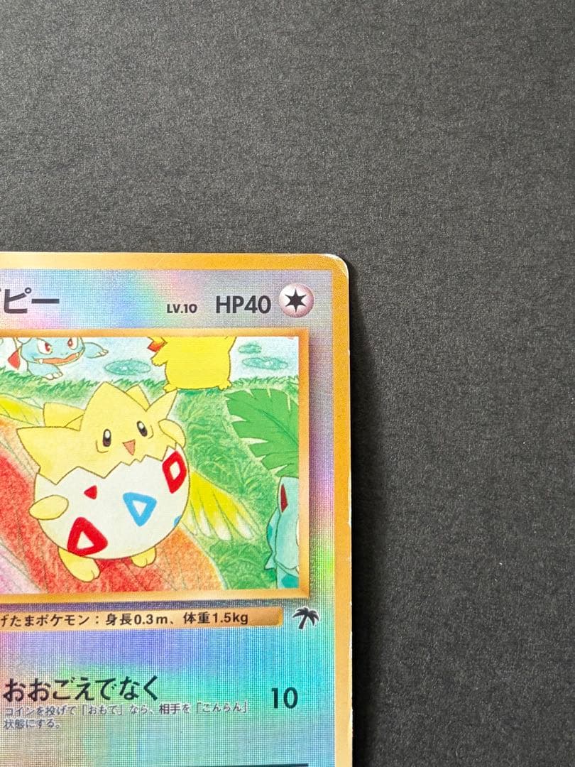 キャタおトゲピー まとめ買い