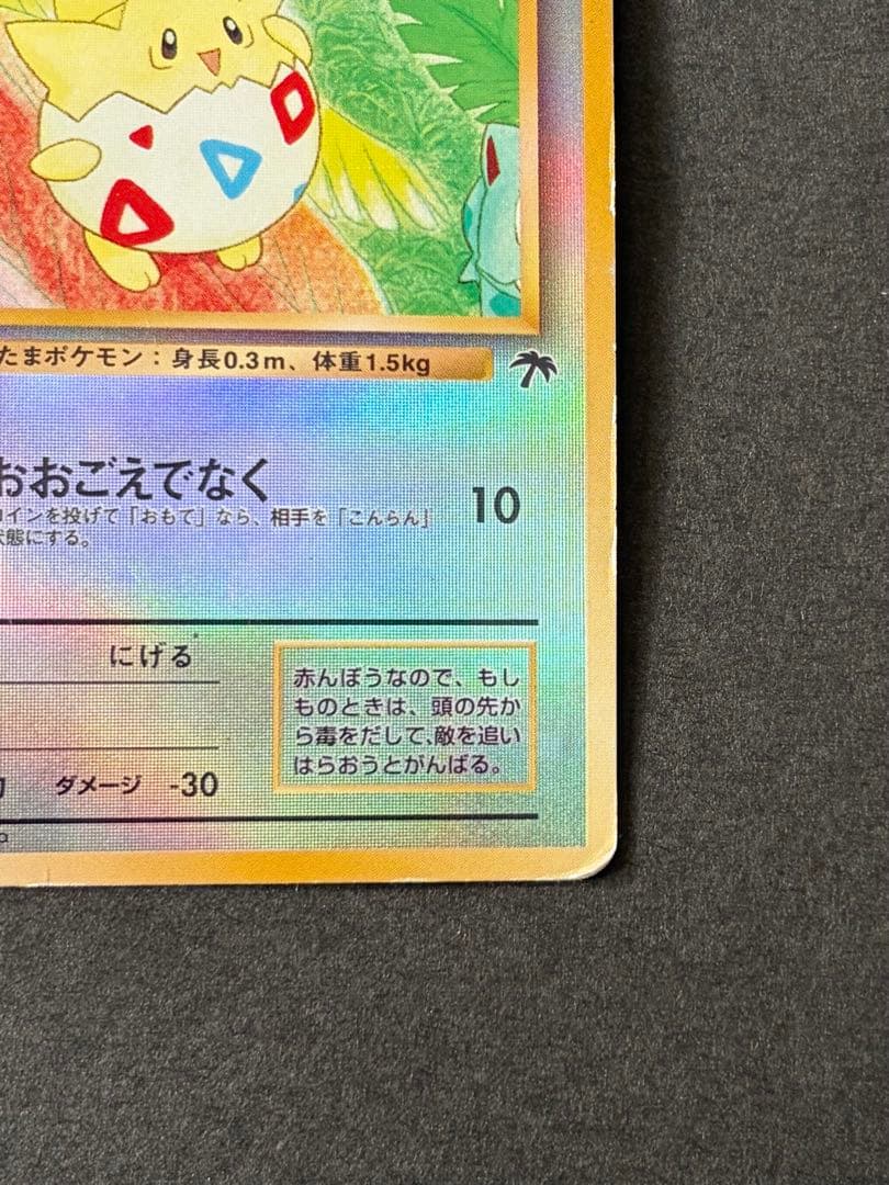 キャタおトゲピー まとめ買い