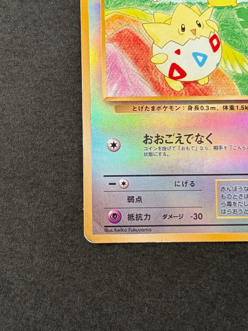 キャタおトゲピー まとめ買い