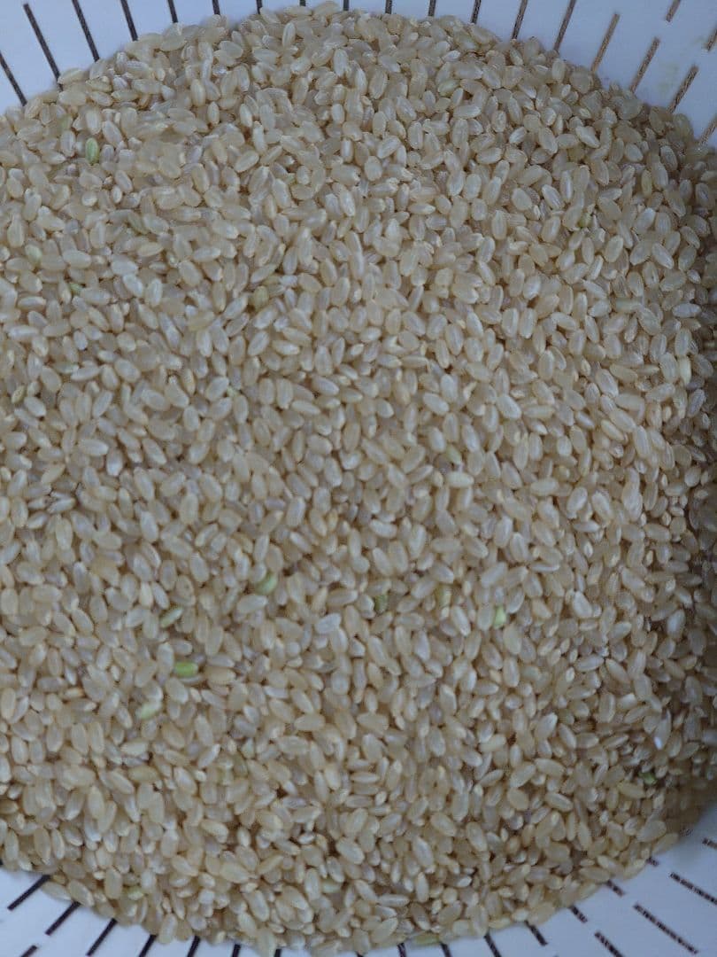 令和７年産　まっしぐら24kｇ　送料込み 未精米　生産農家直送