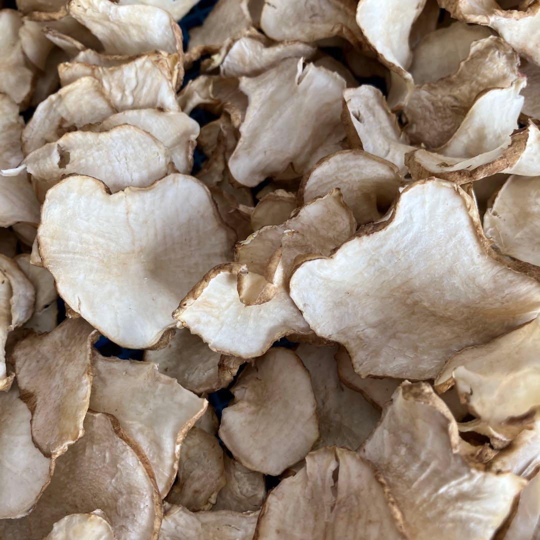 菊芋20袋　柿34袋