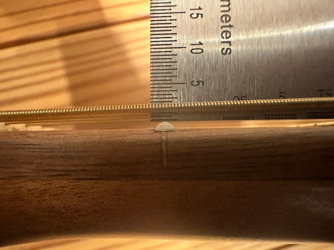 早い者勝ち ヤイリ YM-02E/MH アコースティックギター エレアコ アコギ