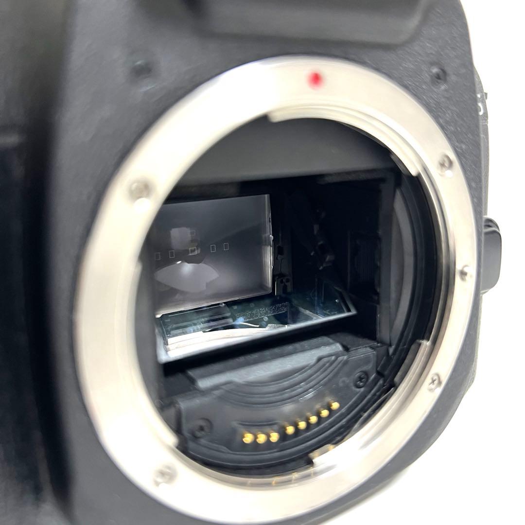 フィルムカメラ EOS 7S CANON EF 28-135mm 3.5-5.6 IS