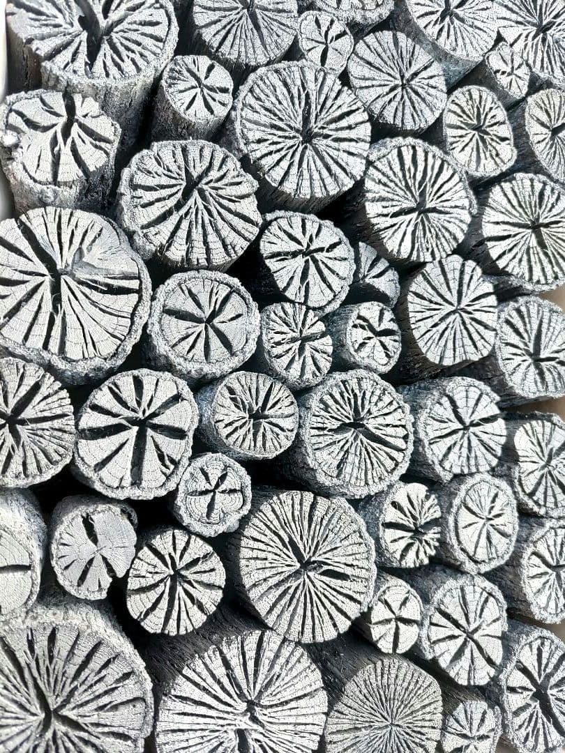 hatsuhototogisu2箱【 伊予の切炭 】約6kg 約7.5cm