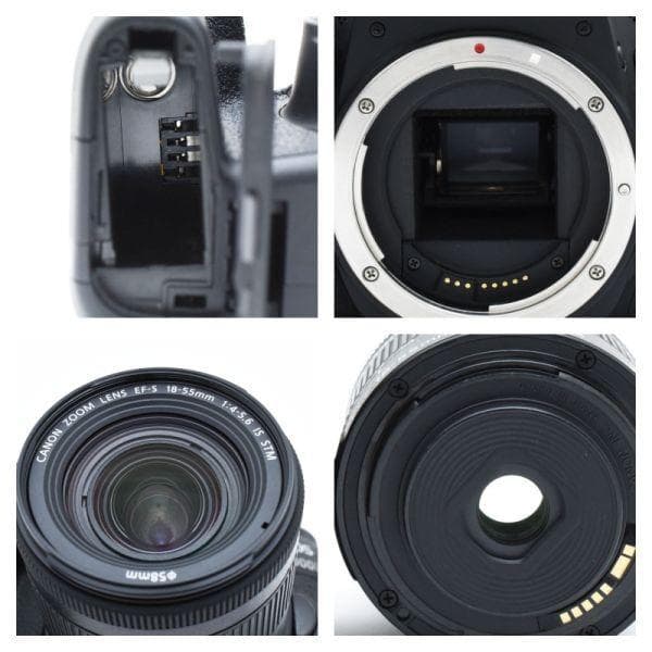 【美品】キャノン Canon EOS 9000D レンズキット SDカード付