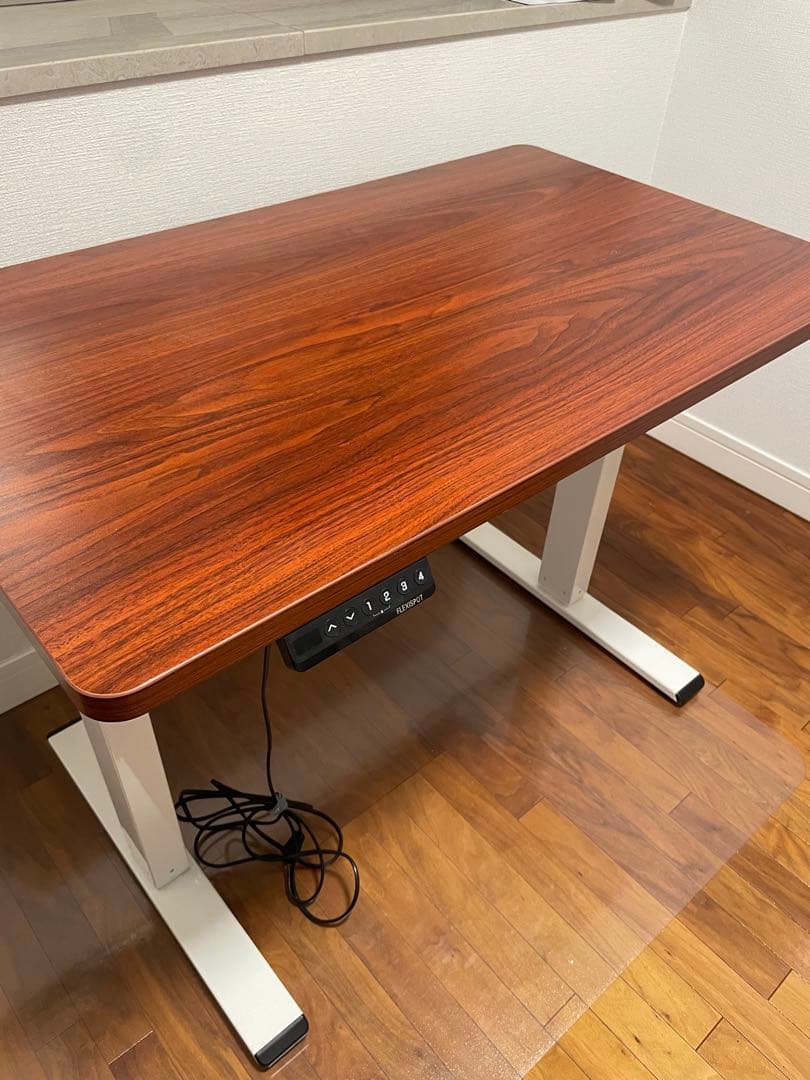 Flexispot EF1 電動昇降式デスク100cm x 60cm