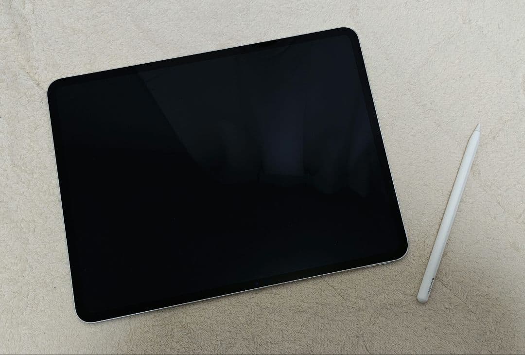 iPad本体 Ipad Pro M4 13 1TB + Apple pencil pro