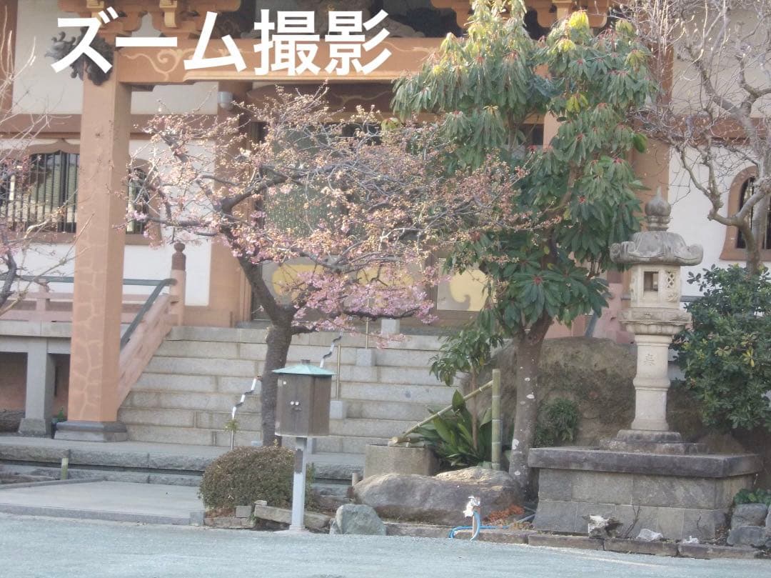 実写美⭕️【動作確認済】Nikon COOLPIX L23 シルバー