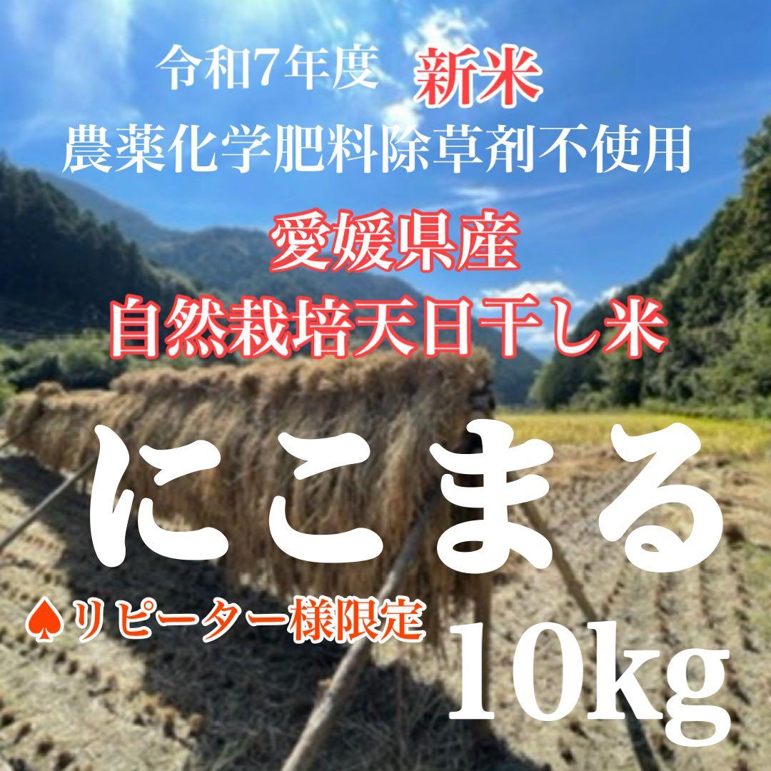 ♠︎リピーター様限定♠︎ 令和7年度新米　愛媛県産にこまる　天日干し米 10kg
