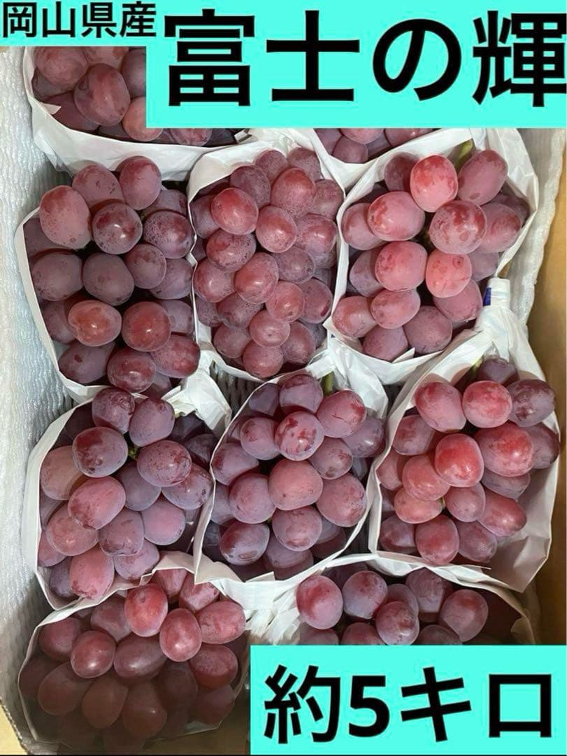 ④ 【岡山県産】富士の輝　10房 約5キロ