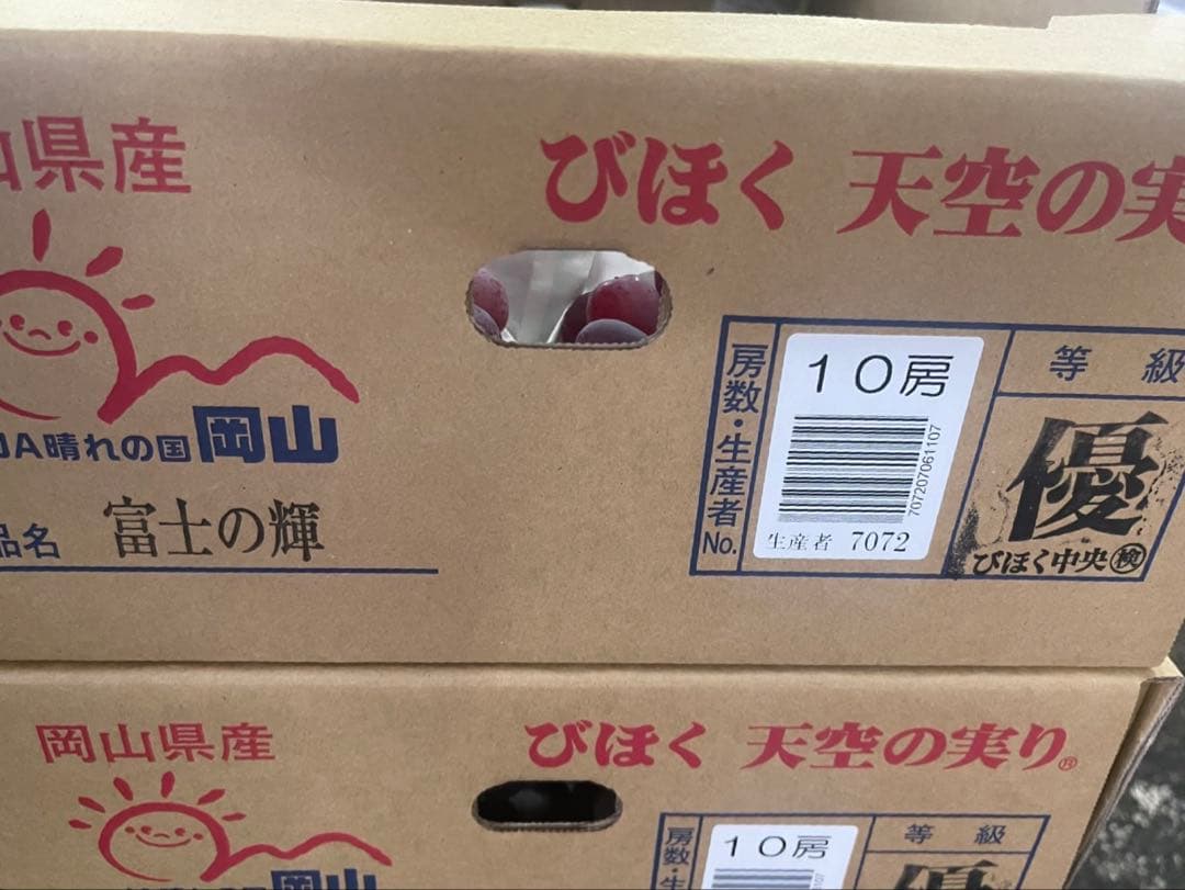 ④ 【岡山県産】富士の輝　10房 約5キロ