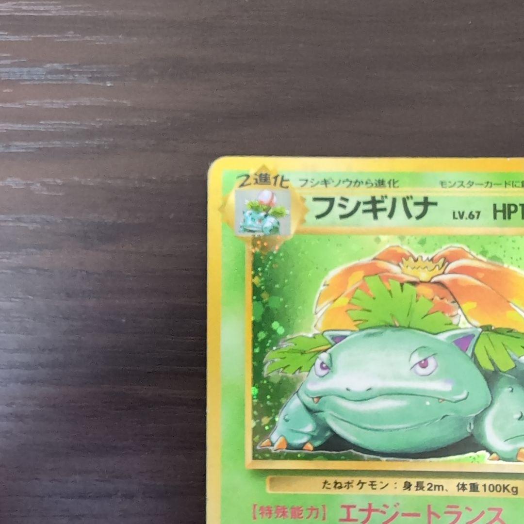 フシギバナ 第1弾拡張パック 旧裏