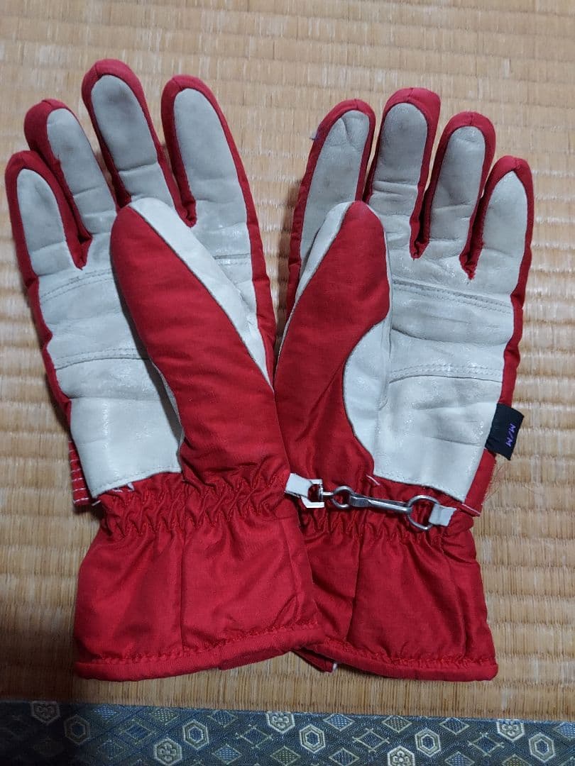 GOLDWIN　スキーウエア　(オマケ付き)